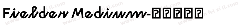 Fielder Medium字体转换